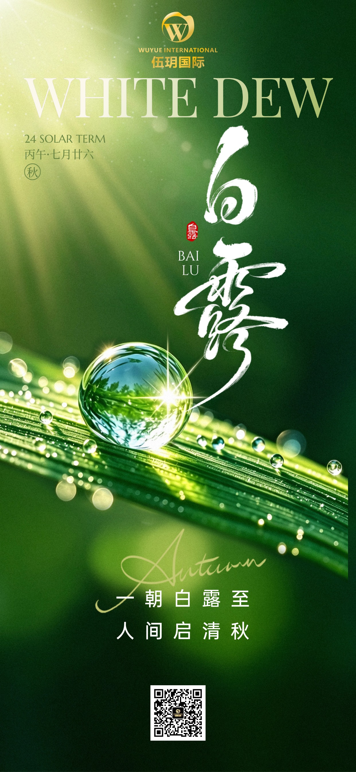 白露 白露凝霜染清秋 沉淀蓄力赴新程